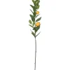 Stems & Bouquets-Kirkland's Home Lemon Tree Branch Stem Spray, 48 In. Green/Yellow