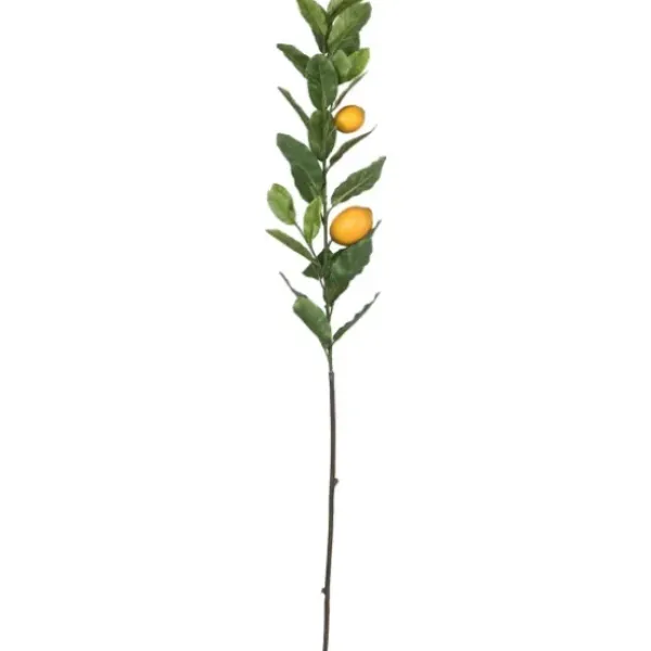 Stems & Bouquets-Kirkland's Home Lemon Tree Branch Stem Spray, 48 In. Green/Yellow