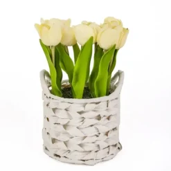 Arrangements & Greenery-Kirkland's Home Light Tulip Arrangement In Basket Yellow