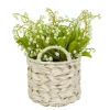 Arrangements & Greenery-Kirkland's Home Lily Of The Valley Arrangement In Basket Green