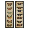 Framed Art-Kirkland's Home Literary Butterflies Framed Art Prints, Set Of 2 Brown/Yellow