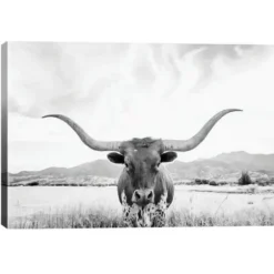 Canvas Art-Kirkland's Home Longhorn Giclee Canvas Art Print Black/White/Gray