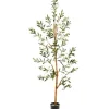 Trees & Topiaries-Kirkland's Home Lucky Olive Tree In Nursery Planter, 54 In.