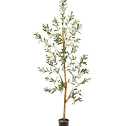 Trees & Topiaries-Kirkland's Home Lucky Olive Tree In Nursery Planter, 54 In.