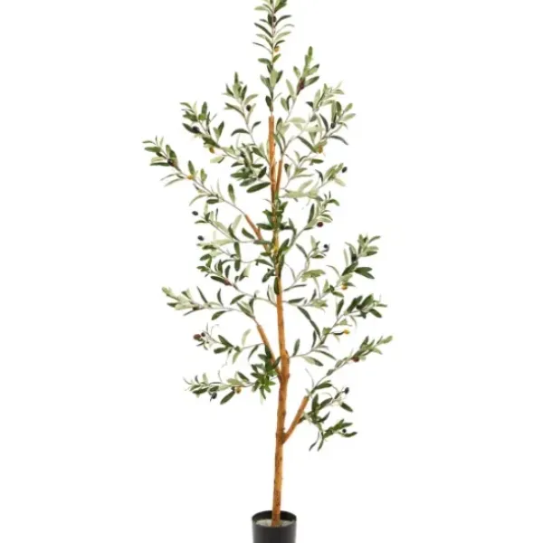 Trees & Topiaries-Kirkland's Home Lucky Olive Tree In Nursery Planter, 54 In.