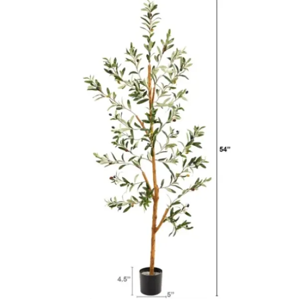 Trees & Topiaries-Kirkland's Home Lucky Olive Tree In Nursery Planter, 54 In.