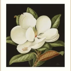 Framed Art-Kirkland's Home Magnolia Grandflora Framed Art Print White/Green/Black