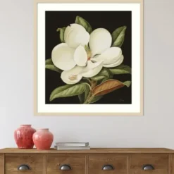 Framed Art-Kirkland's Home Magnolia Grandflora Framed Art Print White/Green/Black