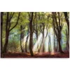 Canvas Art-Kirkland's Home Majestic Morning Giclee Canvas Art Print Green