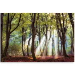 Canvas Art-Kirkland's Home Majestic Morning Giclee Canvas Art Print Green