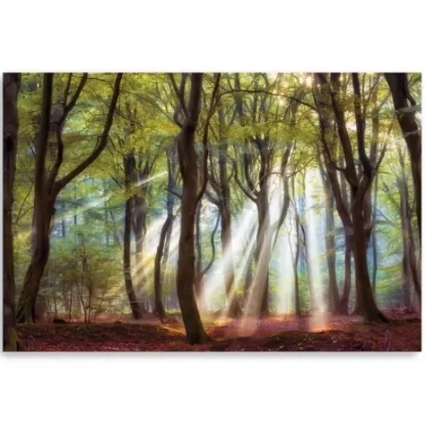 Canvas Art-Kirkland's Home Majestic Morning Giclee Canvas Art Print Green