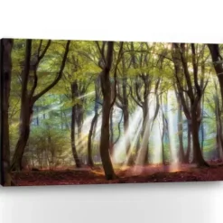 Canvas Art-Kirkland's Home Majestic Morning Giclee Canvas Art Print Green