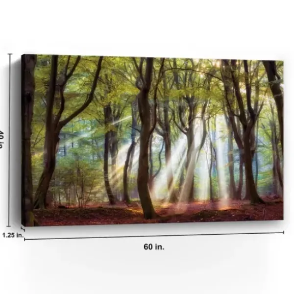 Canvas Art-Kirkland's Home Majestic Morning Giclee Canvas Art Print Green