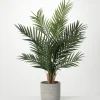 Trees & Topiaries-Kirkland's Home Majestic Palm Tree In Gray Planter