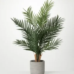 Trees & Topiaries-Kirkland's Home Majestic Palm Tree In Gray Planter