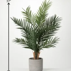 Trees & Topiaries-Kirkland's Home Majestic Palm Tree In Gray Planter