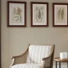 Framed Art-Kirkland's Home Martha Stewart Lady Fern Framed Art Print Set Green/White