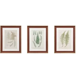 Framed Art-Kirkland's Home Martha Stewart Lady Fern Framed Art Print Set Green/White