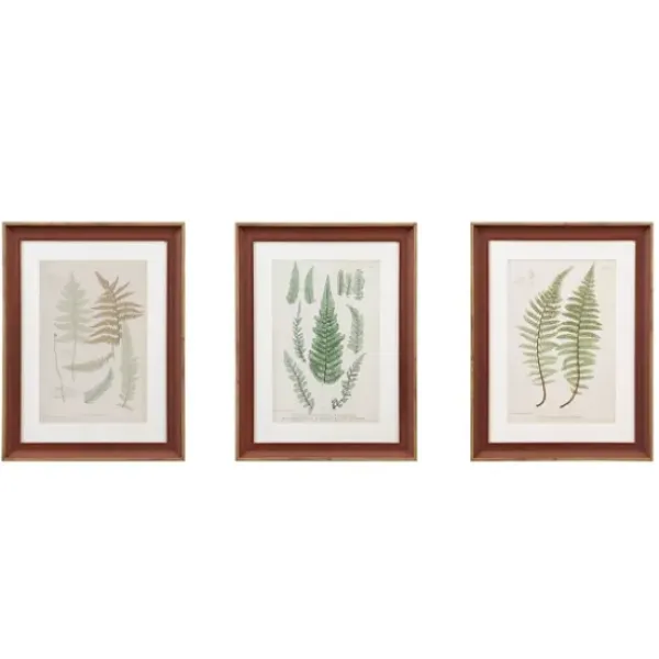 Framed Art-Kirkland's Home Martha Stewart Lady Fern Framed Art Print Set Green/White