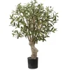 Trees & Topiaries-Kirkland's Home Mediterranean Olive Branch Tree In Black Pot