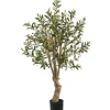 Trees & Topiaries-Kirkland's Home Mediterranean Olive Tree In Nursery Planter