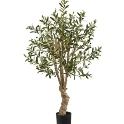 Trees & Topiaries-Kirkland's Home Mediterranean Olive Tree In Nursery Planter