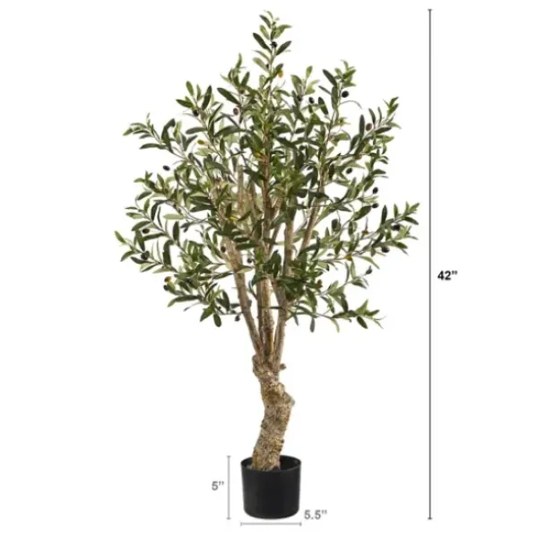 Trees & Topiaries-Kirkland's Home Mediterranean Olive Tree In Nursery Planter