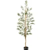 Trees & Topiaries-Kirkland's Home Mediterranean Olive Tree In Black Planter, 70 In.