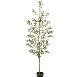 Trees & Topiaries-Kirkland's Home Mediterranean Olive Tree In Black Planter, 70 In.