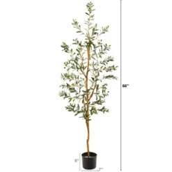 Trees & Topiaries-Kirkland's Home Mediterranean Olive Tree In Black Planter, 70 In.
