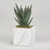 Arrangements & Greenery-Kirkland's Home Mini Aloe Plant In White Marble Ceramic Cube Green
