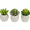 Arrangements & Greenery-Kirkland's Home Mini Succulents In Ceramic Pots, Set Of 3 Green