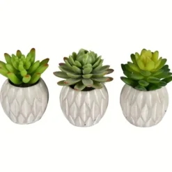 Arrangements & Greenery-Kirkland's Home Mini Succulents In Ceramic Pots, Set Of 3 Green