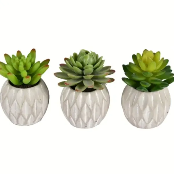 Arrangements & Greenery-Kirkland's Home Mini Succulents In Ceramic Pots, Set Of 3 Green