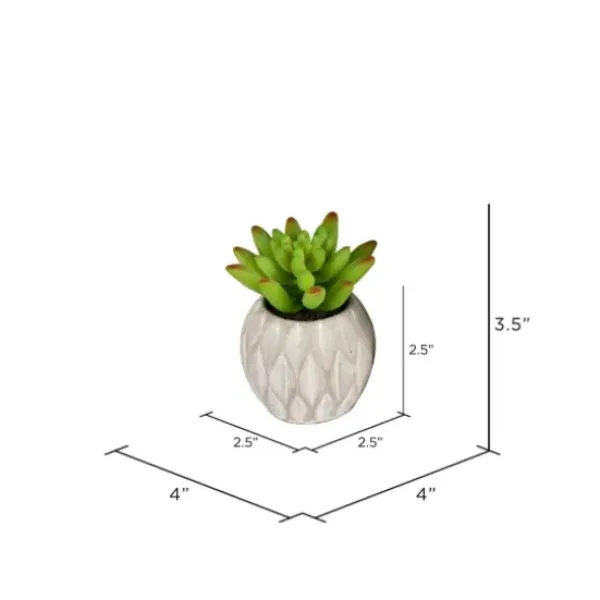 Arrangements & Greenery-Kirkland's Home Mini Succulents In Ceramic Pots, Set Of 3 Green