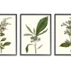 Framed Art-Kirkland's Home Minimal Soft Flowers Framed Art Prints, Set Of 3 Green/Blue