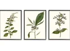 Framed Art-Kirkland's Home Minimal Soft Flowers Framed Art Prints, Set Of 3 Green/Blue