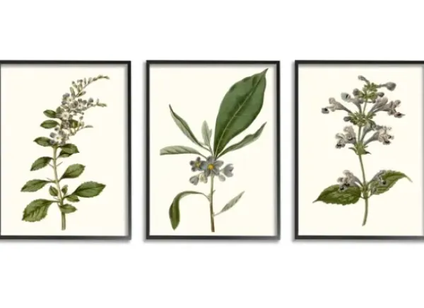 Framed Art-Kirkland's Home Minimal Soft Flowers Framed Art Prints, Set Of 3 Green/Blue
