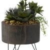 Trees & Topiaries-Kirkland's Home Mixed Greenery Arrangement In Round Wooden Planter