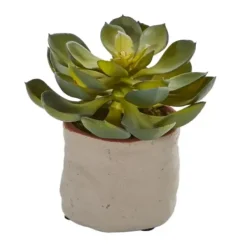 Arrangements & Greenery-Kirkland's Home Mixed Succulent Arrangements, Set Of 4 Green