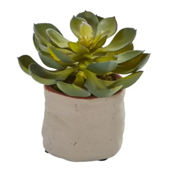 Arrangements & Greenery-Kirkland's Home Mixed Succulent Arrangements, Set Of 4 Green
