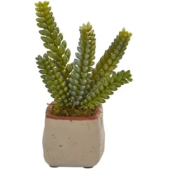 Arrangements & Greenery-Kirkland's Home Mixed Succulent Arrangements, Set Of 4 Green