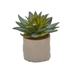 Arrangements & Greenery-Kirkland's Home Mixed Succulent Arrangements, Set Of 4 Green