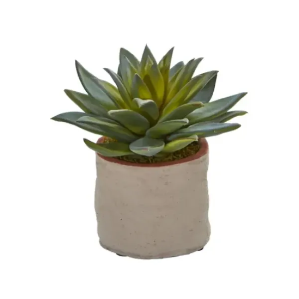 Arrangements & Greenery-Kirkland's Home Mixed Succulent Arrangements, Set Of 4 Green