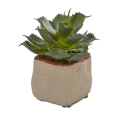 Arrangements & Greenery-Kirkland's Home Mixed Succulent Arrangements, Set Of 4 Green