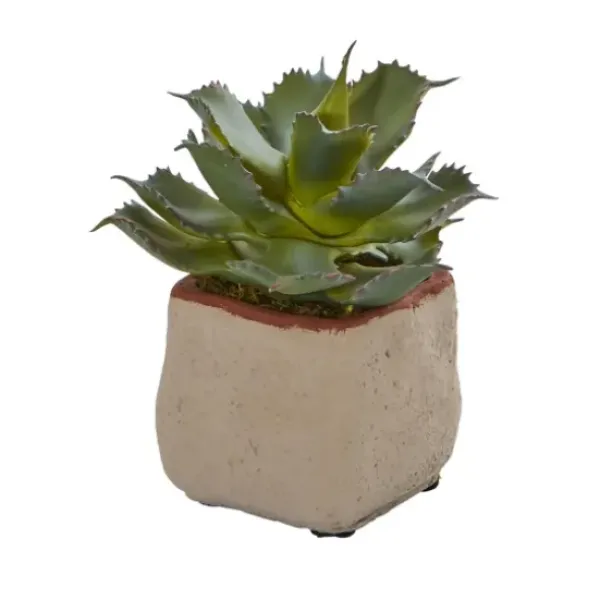 Arrangements & Greenery-Kirkland's Home Mixed Succulent Arrangements, Set Of 4 Green