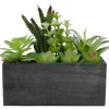 Arrangements & Greenery-Kirkland's Home Mixed Succulents In Black Wood Planter Box Green/Black