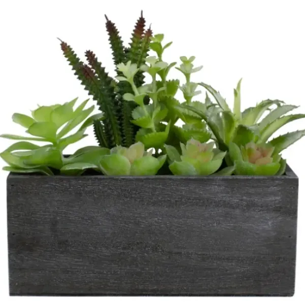 Arrangements & Greenery-Kirkland's Home Mixed Succulents In Black Wood Planter Box Green/Black