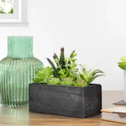 Arrangements & Greenery-Kirkland's Home Mixed Succulents In Black Wood Planter Box Green/Black