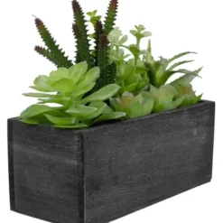 Arrangements & Greenery-Kirkland's Home Mixed Succulents In Black Wood Planter Box Green/Black